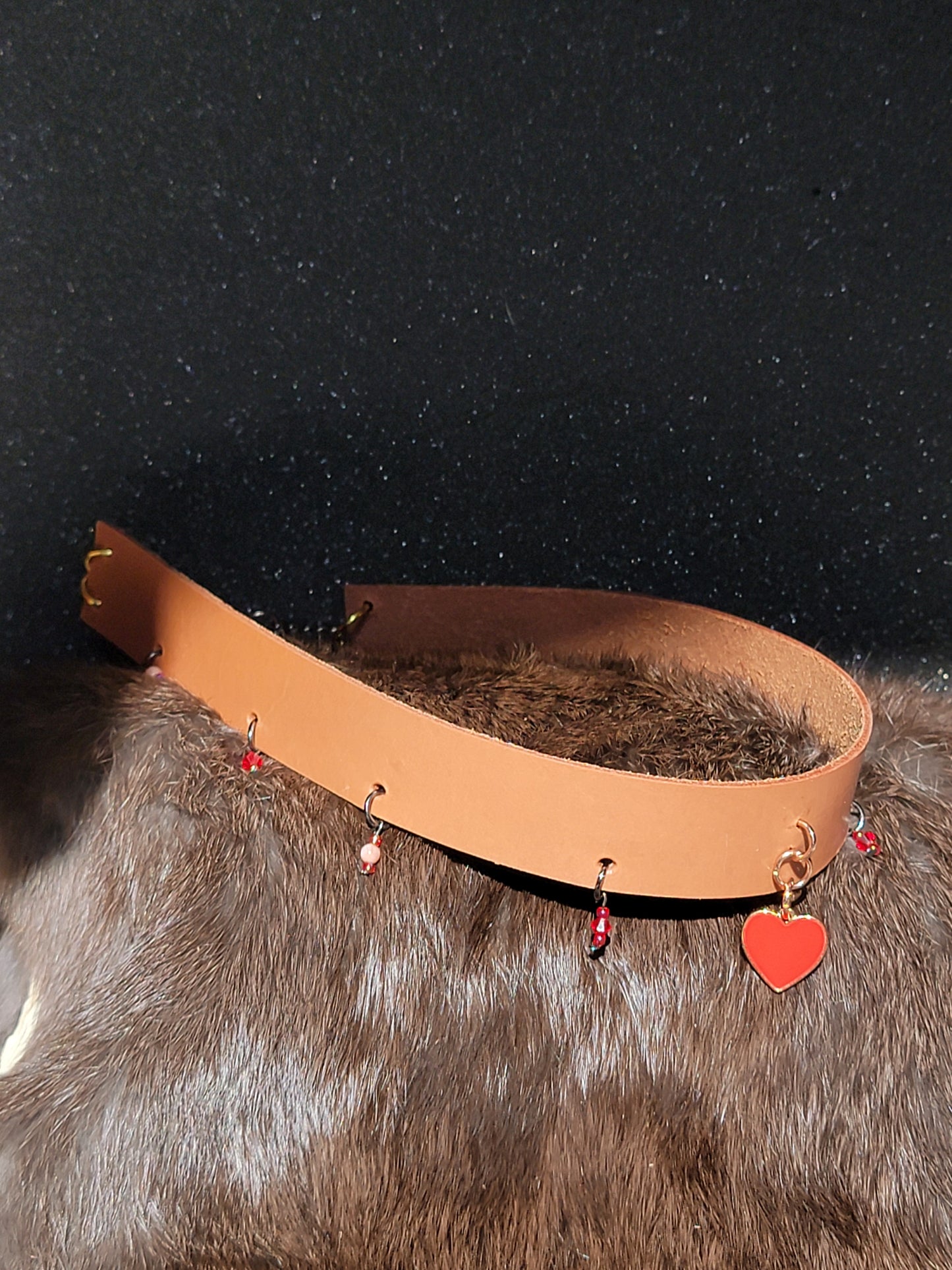 Scarlett Love Collar