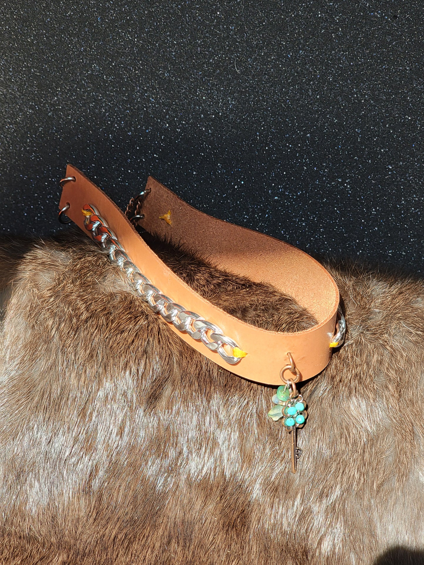 Lucky Charm Collar