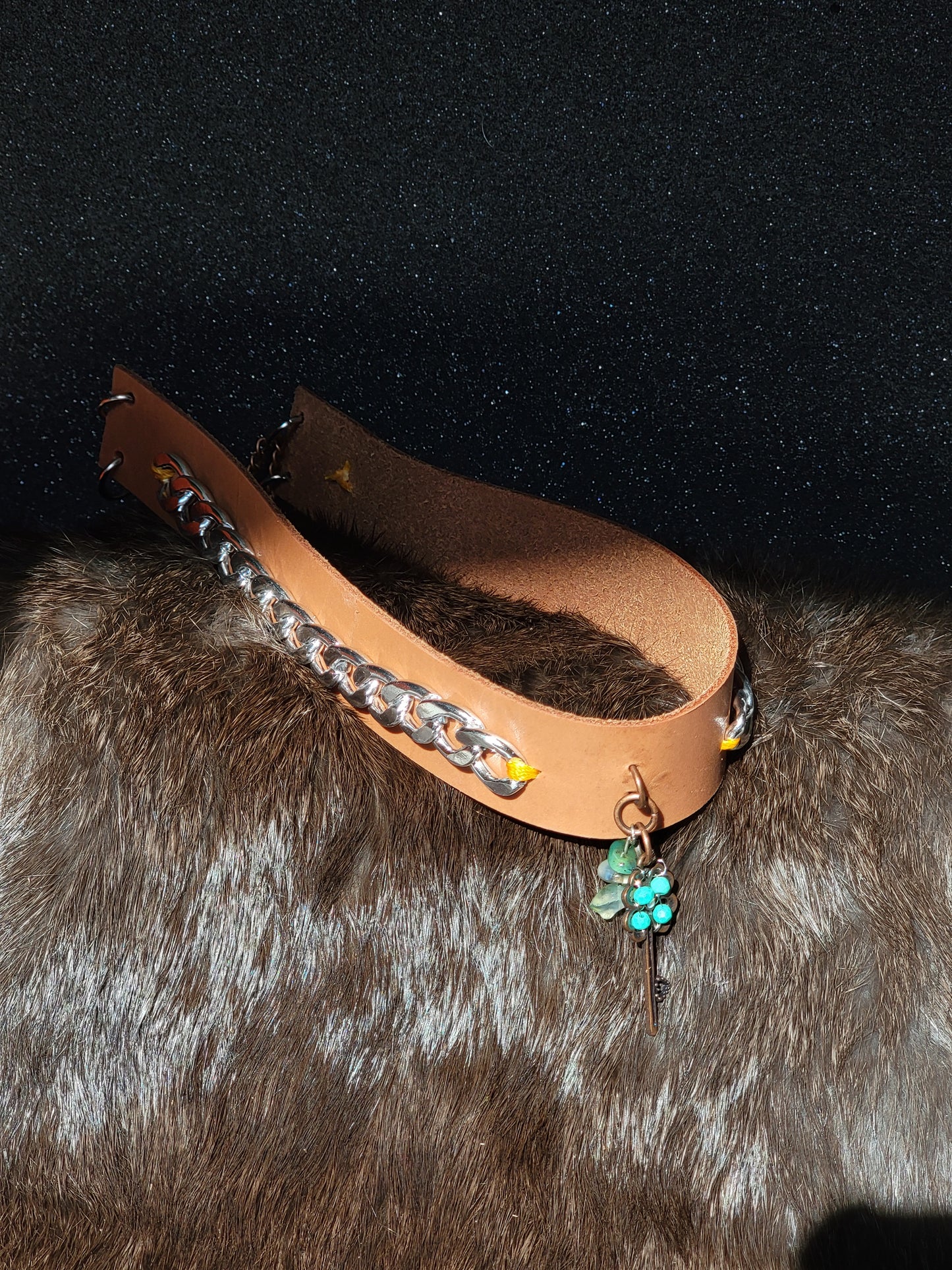 Lucky Charm Collar